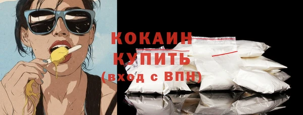 кокс Богородицк