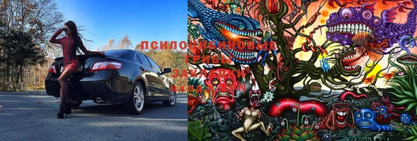 кокс Богородицк