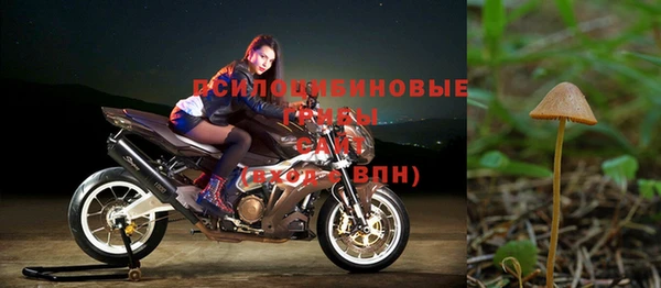 бутират Богданович