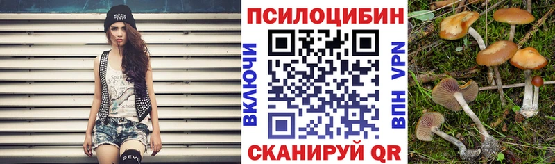 Псилоцибиновые грибы Psilocybine cubensis  купить наркотики цена  Дальнереченск 